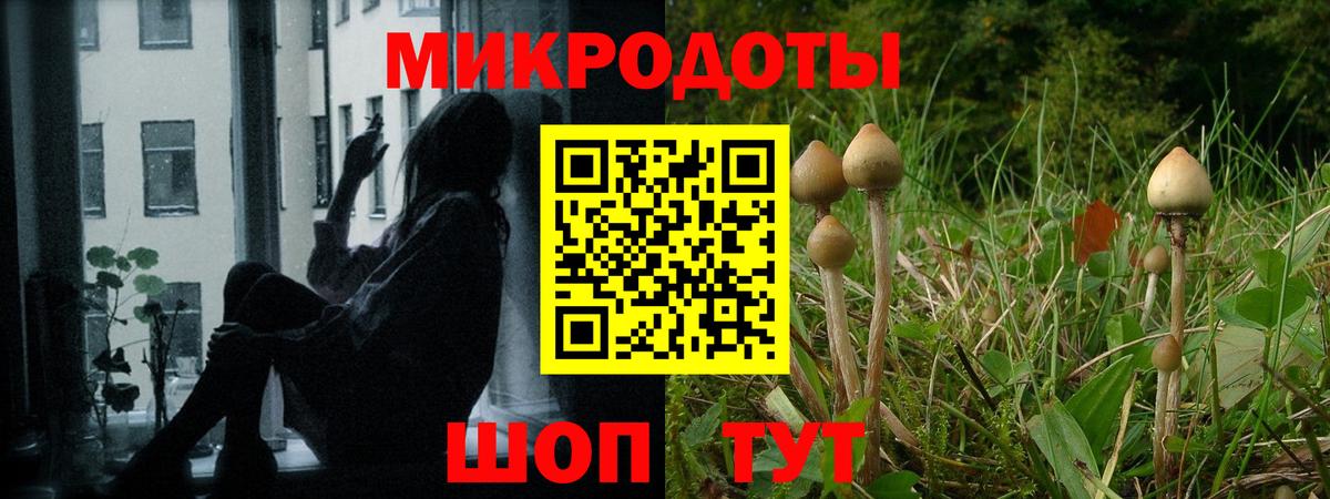 Галлюциногенные грибы Cubensis  Вход с VPN  Псилоцибиновые грибы ЛСД  Маркс 